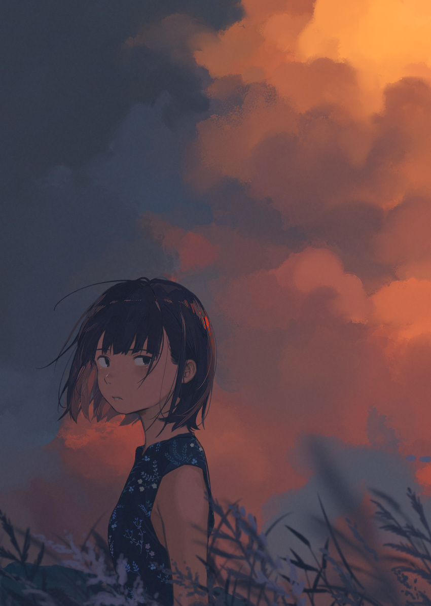 1girl black_eyes black_hair blue_sky clouds cloudy_sky field from_side grass highres looking_at_viewer looking_to_the_side original ouchi_kaeru outdoors scenery short_hair sky solo standing sunset