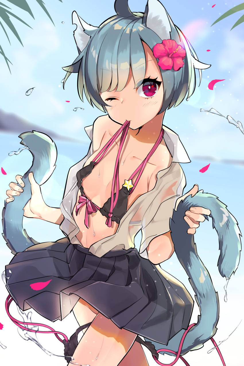 1girl absurdres ahoge animal_ears bangs bare_shoulders bikini black_bikini black_skirt blue_hair blue_sky blurry blurry_background blush cat_ears cat_girl cat_tail closed_eyes clouds collarbone collared_shirt day depth_of_field dutch_angle eyebrows_visible_through_hair fingernails flower front-tie_bikini front-tie_top groin hair_flower hair_ornament head_tilt highres holding_own_tail looking_at_viewer mouth_hold multiple_tails ocean off_shoulder omucchan_(omutyuan) one_eye_closed open_clothes open_shirt original outdoors petals pleated_skirt red_eyes red_flower see-through shirt short_hair side-tie_bikini skirt sky solo standing star swimsuit tail two_tails untied untied_bikini water wet wet_clothes wet_shirt white_shirt