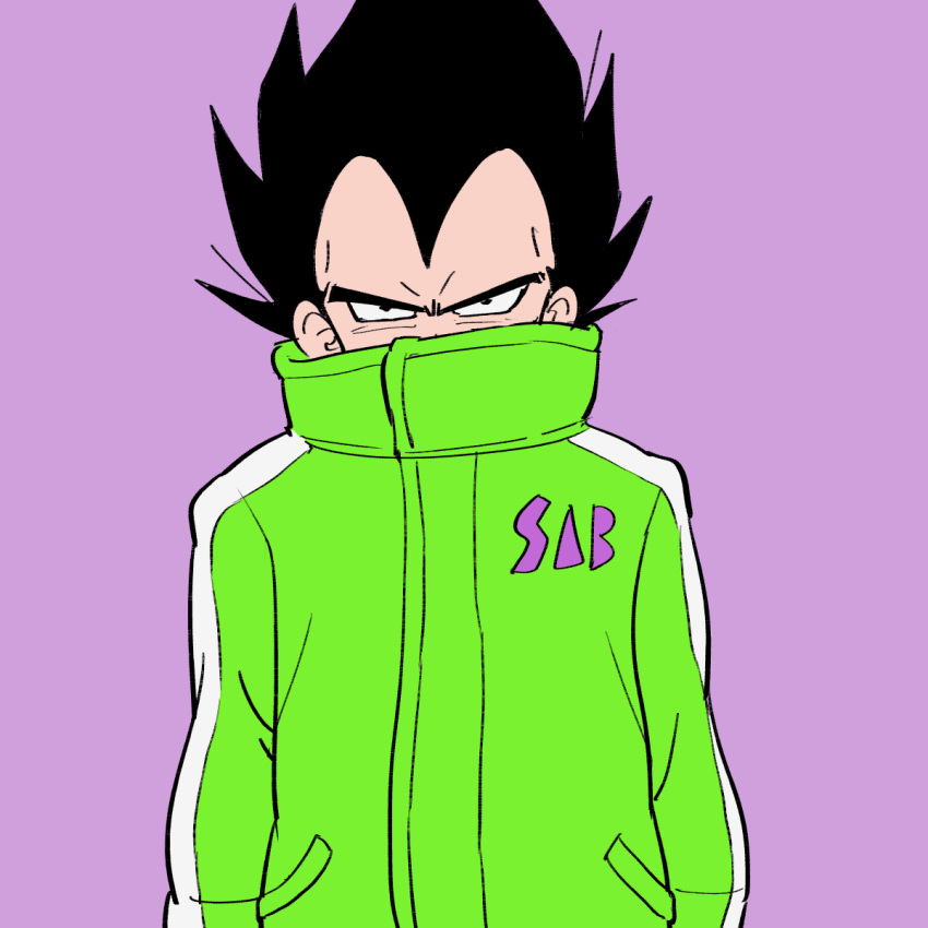 1boy black_eyes black_hair coat dragon_ball dragon_ball_super dragon_ball_super_broly dragonball_z expressionless frown green_coat highres male_focus purple_background short_hair simple_background spiky_hair tkgsize upper_body vegeta