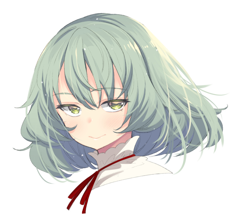 1girl akino_sora bangs blush closed_mouth commentary_request eyebrows_visible_through_hair face green_eyes green_hair hair_between_eyes looking_at_viewer neck_ribbon original portrait red_ribbon ribbon simple_background smile solo white_background