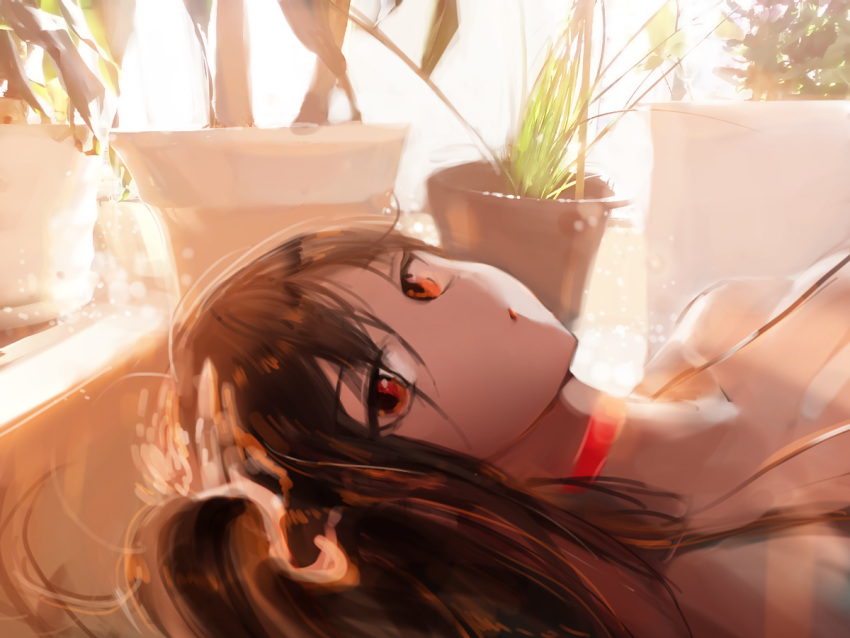 1girl azur_lane bare_shoulders black_hair breasts canella collar commentary dress eyebrows_visible_through_hair flower_pot hair_between_eyes hair_ornament large_breasts long_hair looking_at_viewer lying on_back plant red_eyes solo taihou_(azur_lane)