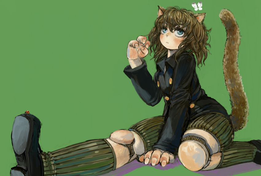 1other androgynous animal_ears between_legs black_footwear black_jacket blonde_hair bug butterfly cat_ears cat_tail closed_mouth commentary_request doll_joints ebimomo fingernails green_background green_legwear hand_between_legs hunter_x_hunter insect jacket ladybug neferpitou shoes shorts simple_background socks solo tail