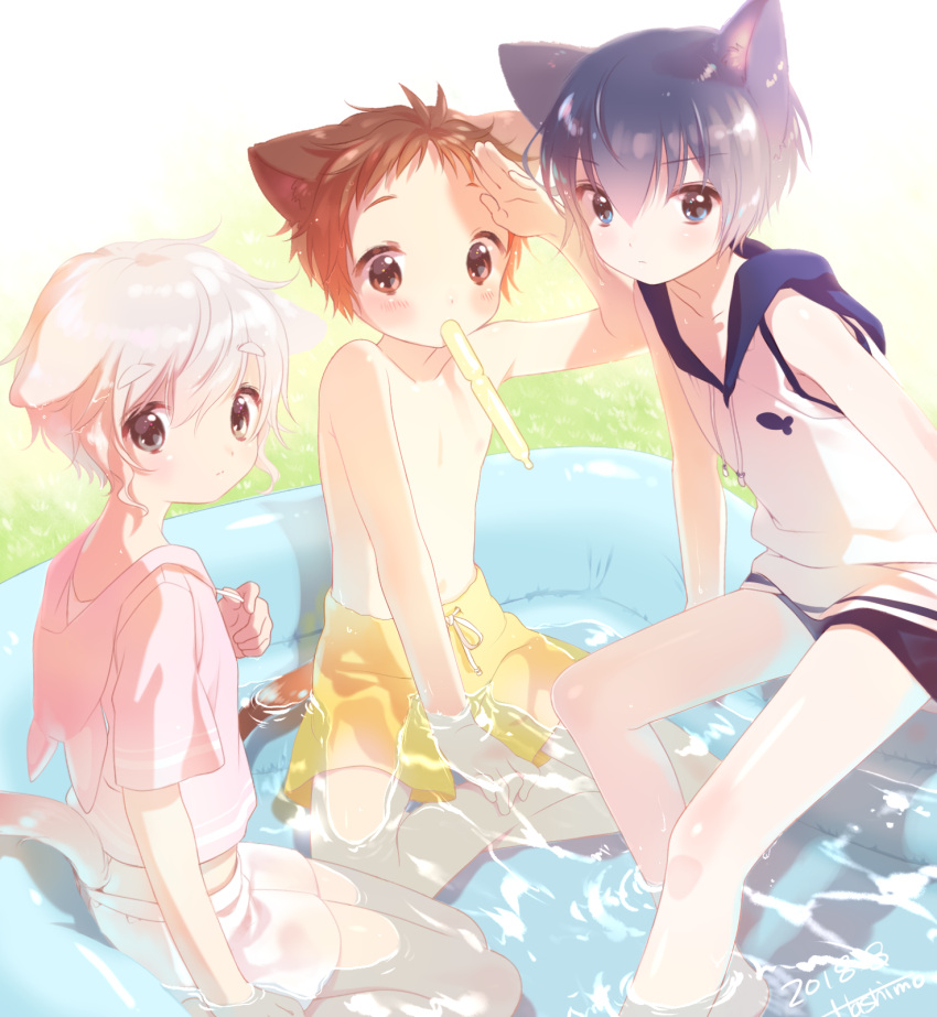 3boys animal_ears blue_eyes blue_hair brown_eyes brown_hair cat_ears cat_tail catboy hashimo_kikuri highres hood hoodie hoodie_vest looking_at_viewer male_focus male_swimwear multiple_boys original swim_trunks swimwear tail vest wading_pool white_hair