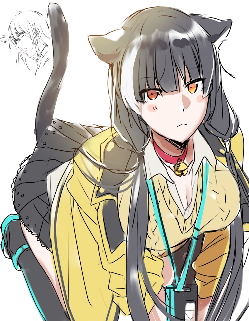 2girls animal_ears artist_request bell bell_collar black_hair breasts cat_ears cat_girl cat_tail cleavage collar commentary_request girls_frontline heterochromia highlights highres m16a1_(girls_frontline) multicolored_hair multiple_girls name_tag reaction red_eyes ro635_(girls_frontline) surprised tail white_hair yellow_eyes