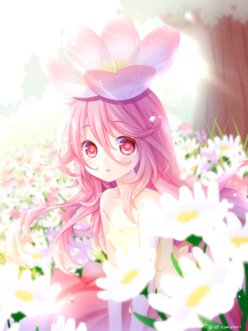 1girl blush commentary_request crying crying_with_eyes_open field flower flower_field flower_on_head highres long_hair looking_at_viewer original parted_lips pink_eyes pink_hair rai_miruku tears twitter_username