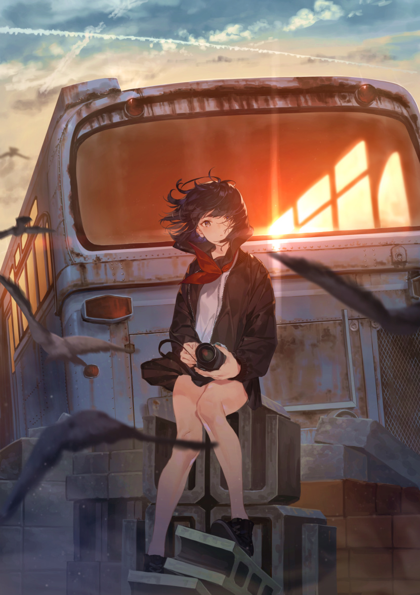 1girl bare_legs bird black_hair bus camera commentary ground_vehicle highres hotosoka_(user_nxja5583) jacket motion_blur motor_vehicle original school_uniform serafuku short_hair sitting sky sunset wind wind_lift