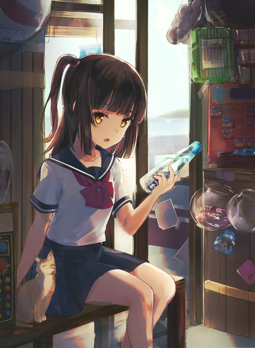1girl absurdres animal bada_(jksh5056) bangs bench black_sailor_collar black_skirt blue_sky blunt_bangs blush bottle bow brown_eyes brown_hair cat clouds commentary_request day eyebrows_visible_through_hair glass_door hand_up highres holding holding_bottle horizon indoors long_hair looking_at_viewer ocean on_bench one_side_up original parted_lips pleated_skirt ramune red_bow sailor_collar school_uniform serafuku shirt short_sleeves sitting skirt sky solo sweat transparent water white_shirt