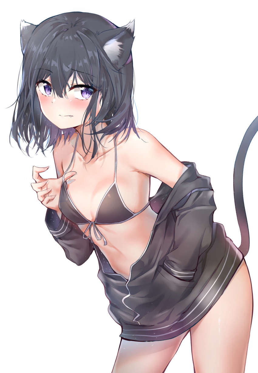 1girl absurdres adagaki_aki animal_ears bangs bare_shoulders bikini_top black_hair blush breasts cat_ears cat_tail collarbone commentary cowboy_shot eyebrows_visible_through_hair fang front-tie_top hair_between_eyes hand_in_pocket highres jacket kemonomimi_mode leaning_forward long_sleeves looking_at_viewer masamune-kun_no_revenge off_shoulder short_hair simple_background slit_pupils small_breasts solo standing strap_lift sunhyun tail violet_eyes white_background