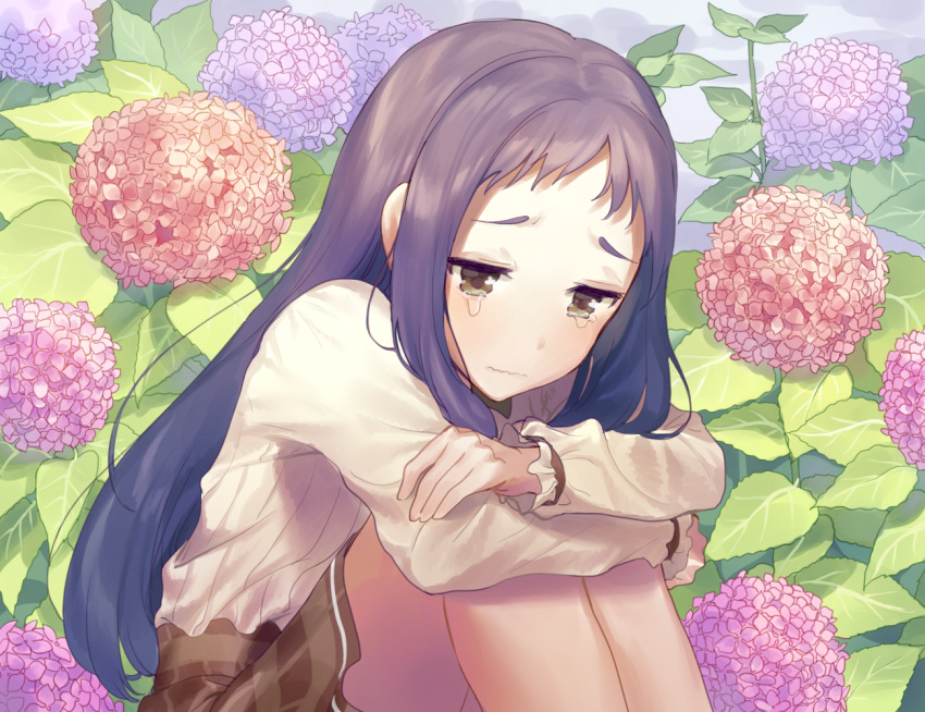 1girl blush brown_eyes brown_skirt character_request closed_mouth crying crying_with_eyes_open feet_out_of_frame flower forehead frilled_sleeves frills frown hydrangea idolmaster idolmaster_cinderella_girls knees_up leg_hug long_hair long_sleeves looking_away looking_down misha_(hoongju) pink_flower plaid plaid_skirt plant purple_flower purple_hair shirt sidelocks sitting skirt solo straight_hair tears very_long_hair wavy_mouth white_shirt