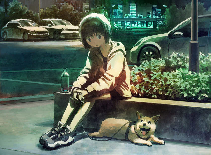 1girl bangs black_eyes black_hair bottle building car commentary_request dog ground_vehicle hands_together harness hood hood_down hooded_jacket jacket leash long_sleeves looking_at_animal motor_vehicle night original outdoors parking_lot plant shoes short_hair shorts sitting sitting_on_wall skyscraper smile sneakers solo tokunaga_akimasa velcro water_bottle