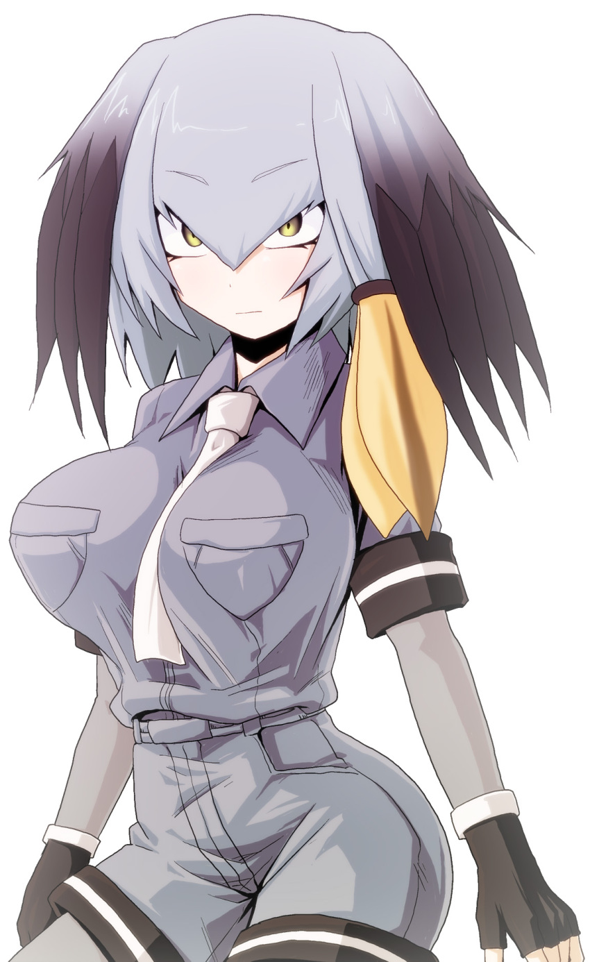 1girl arms_at_sides bangs between_breasts black_gloves black_hair bodystocking breast_pocket breasts closed_mouth collared_shirt expressionless eyebrows_visible_through_hair fingerless_gloves gloves grey_hair grey_shirt grey_shorts hair_between_eyes highres impossible_clothes impossible_shirt kamishima_kanon kemono_friends large_breasts long_hair long_sleeves looking_at_viewer low_ponytail multicolored_hair necktie necktie_between_breasts no_tail orange_hair pocket shirt shoebill_(kemono_friends) short_over_long_sleeves short_sleeves shorts side_ponytail simple_background solo upper_body white_background white_neckwear yellow_eyes