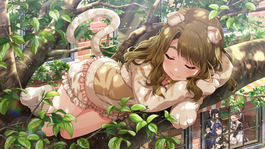 brown_eyes brown_hair dress idolmaster idolmaster_million_live! idolmaster_million_live!_theater_days long_hair miyao_miya sleep smile tail