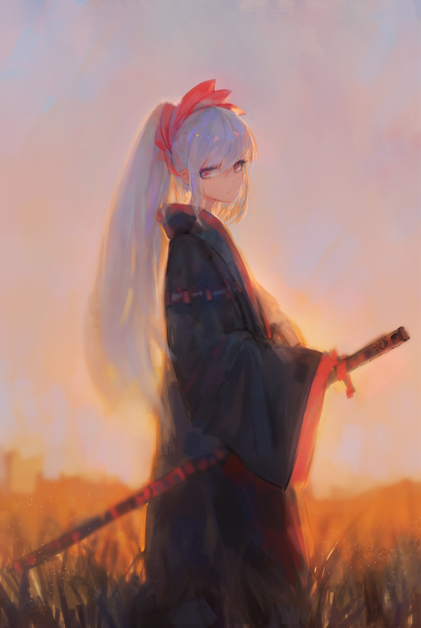 1girl absurdres bangs black_hakama blue_hair closed_mouth commentary_request day evening field hair_between_eyes hair_ornament hakama head_tilt high_ponytail highres holding holding_sheath japanese_clothes katana kisei2 long_hair long_sleeves looking_at_viewer looking_to_the_side original outdoors ponytail red_eyes sheath sheathed sidelocks sky sleeves_past_fingers sleeves_past_wrists solo standing sword very_long_hair weapon wide_sleeves