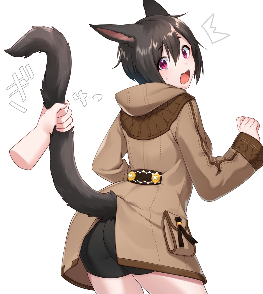 /\/\/\ 1girl animal_ears ass bangs bike_shorts black_hair black_shorts blush brown_coat cat_ears cat_girl cat_tail coat commentary_request disembodied_limb eyebrows_visible_through_hair fang final_fantasy final_fantasy_xiv fingernails hair_between_eyes hand_up head_tilt highres hood hood_down hooded_coat long_sleeves looking_at_viewer looking_back miqo'te open_mouth sakura_chiyo_(konachi000) short_shorts shorts solo_focus sweat tail tail_grab tail_raised twitter_username violet_eyes white_background wide_sleeves