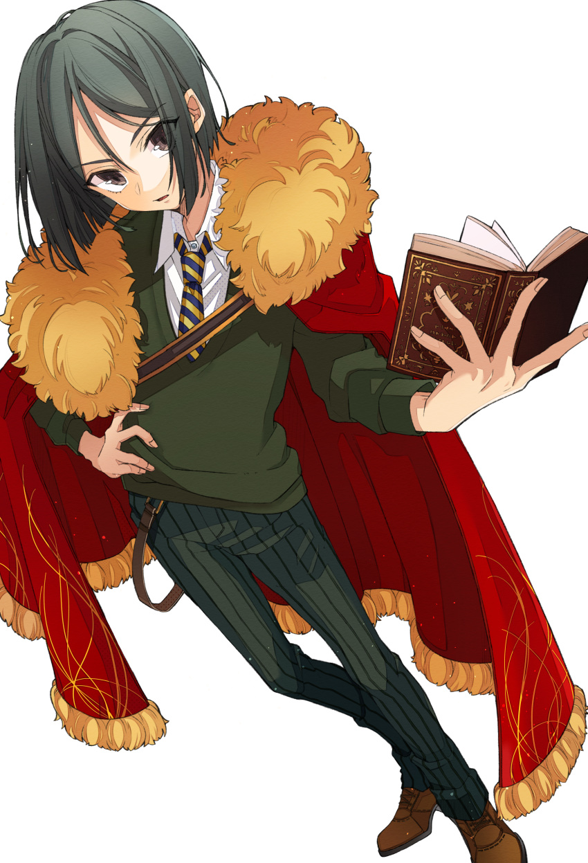 1boy absurdres black_eyes black_hair black_neckwear book brown_eyes cape collared_shirt fate/grand_order fate/zero fate_(series) fur_trim highres holding holding_book huge_filesize long_sleeves looking_at_viewer male_focus necktie osanai pants red_cape shirt simple_background solo sweater waver_velvet white_background white_shirt