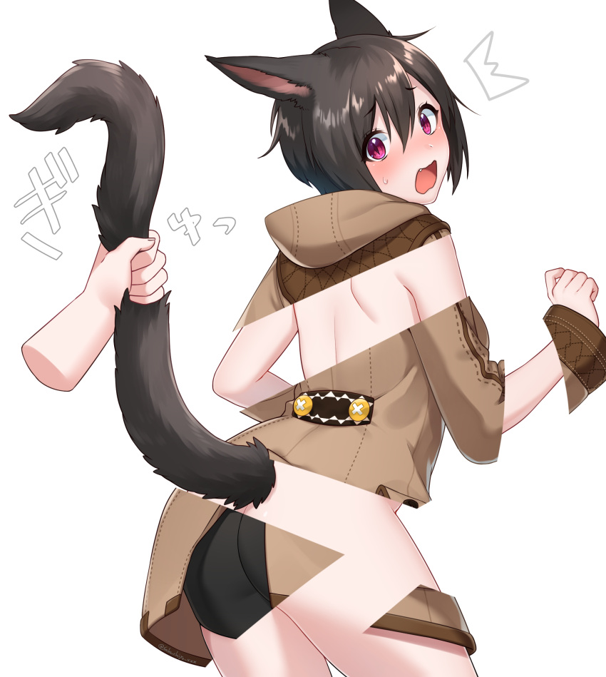 /\/\/\ 1girl animal_ears ass bangs bike_shorts black_hair black_shorts blush brown_coat cat_ears cat_girl cat_tail coat disembodied_limb eyebrows_visible_through_hair fang final_fantasy final_fantasy_xiv fingernails hair_between_eyes hand_up head_tilt highres hood hood_down hooded_coat long_sleeves looking_at_viewer looking_back miqo'te open_mouth page_tear revealing_cutout sakura_chiyo_(konachi000) short_shorts shorts solo_focus sweat tail tail_grab tail_raised twitter_username violet_eyes white_background wide_sleeves