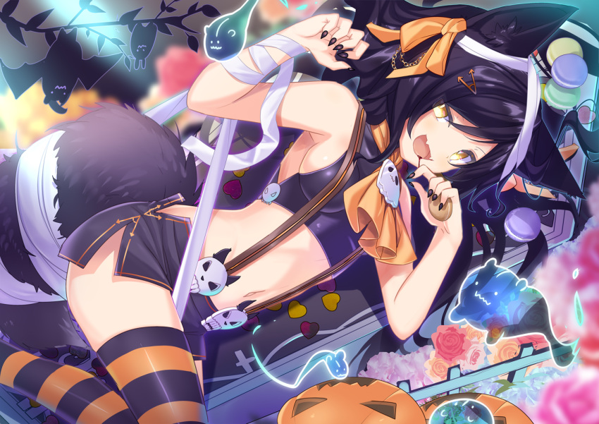 1girl :d animal_ear_fluff animal_ears armpits arms_up bandage bandaged_arm bandages bangs bare_shoulders bat black_hair black_nails black_skirt blood blood_from_mouth blurry blush breasts claw_pose coffin cravat crop_top dutch_angle fang fence fingernails flower food fox_ears fox_tail from_above ghost hair_ornament hairclip halloween hand_up kitsune long_hair looking_at_viewer lying medium_breasts midriff miniskirt nail_polish navel nyori on_side open_mouth orange_legwear orange_neckwear original pumpkin rose sharp_fingernails side_slit sideboob skirt skull smile solo stomach striped striped_legwear suspender_skirt suspenders swept_bangs tail thigh-highs very_long_hair wavy_mouth yellow_eyes