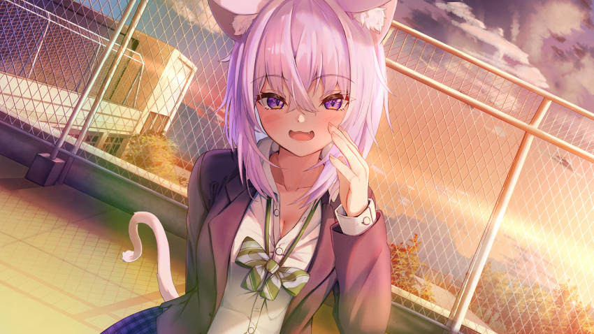 1girl :d absurdres animal_ears black_jacket bow bowtie breasts cat_ears cat_girl cat_tail chain-link_fence fang fence highres hololive jacket long_sleeves looking_at_viewer medium_breasts nekomata_okayu nyoon on_rooftop open_clothes open_jacket open_mouth plaid plaid_skirt purple_hair rooftop shirt skirt smile tail twilight violet_eyes virtual_youtuber white_shirt