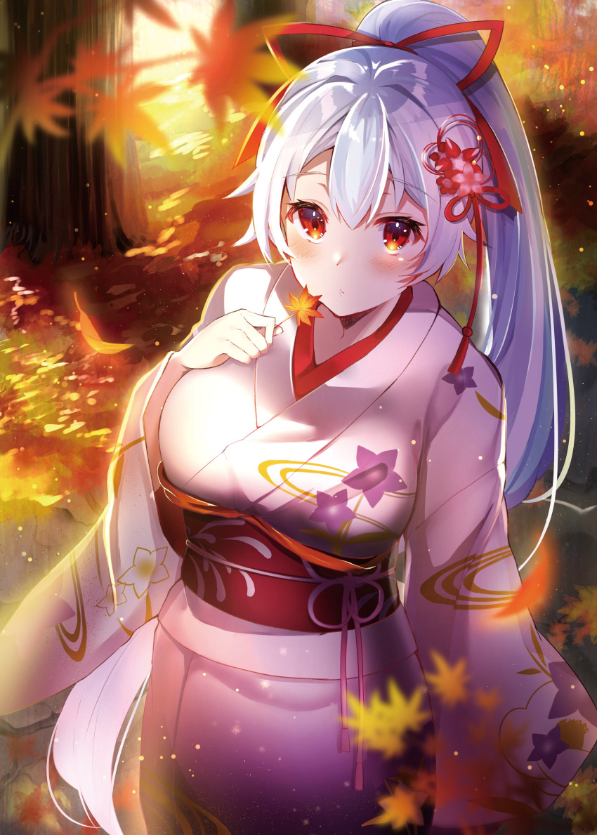 1girl absurdres autumn fate/grand_order fate_(series) felnemo hair_ornament hair_ribbon highres japanese_clothes kimono leaf looking_at_viewer maple_leaf obi ponytail ribbon sash silver_hair tomoe_gozen_(fate/grand_order) white_kimono