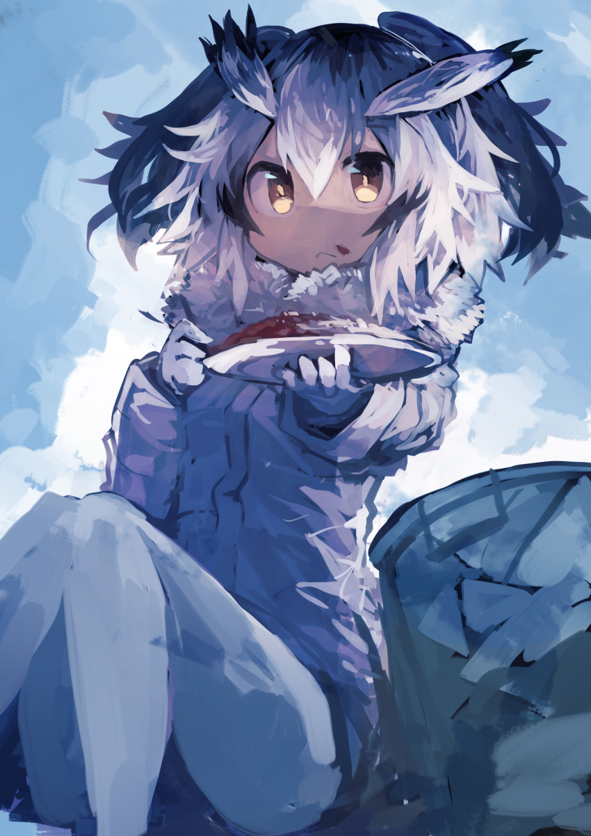 1girl :&lt; absurdres bangs blue_background curry curry_rice eating food food_on_face fur_collar fur_trim gloves grey_hair hair_between_eyes hair_wings highres holding kaamin_(mariarose753) kemono_friends knees_together_feet_apart looking_at_viewer multicolored_hair northern_white-faced_owl_(kemono_friends) pantyhose rice sitting solo streaked_hair white_coat white_gloves white_hair white_legwear yellow_eyes