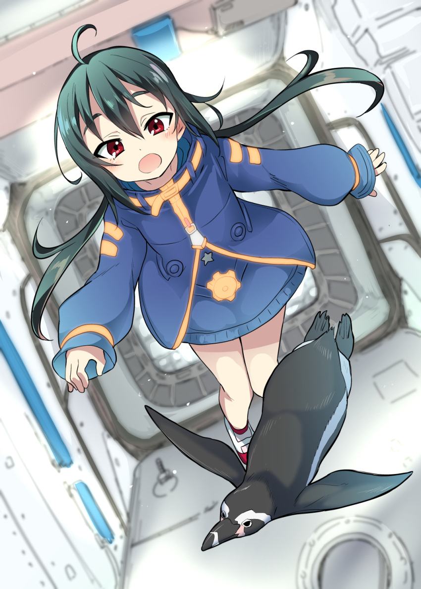 1girl ahoge bird black_hair blurry blurry_background commentary_request highres international_space_station jacket long_hair long_sleeves miyao_ryuu open_mouth original penguin red_eyes skirt zero_gravity