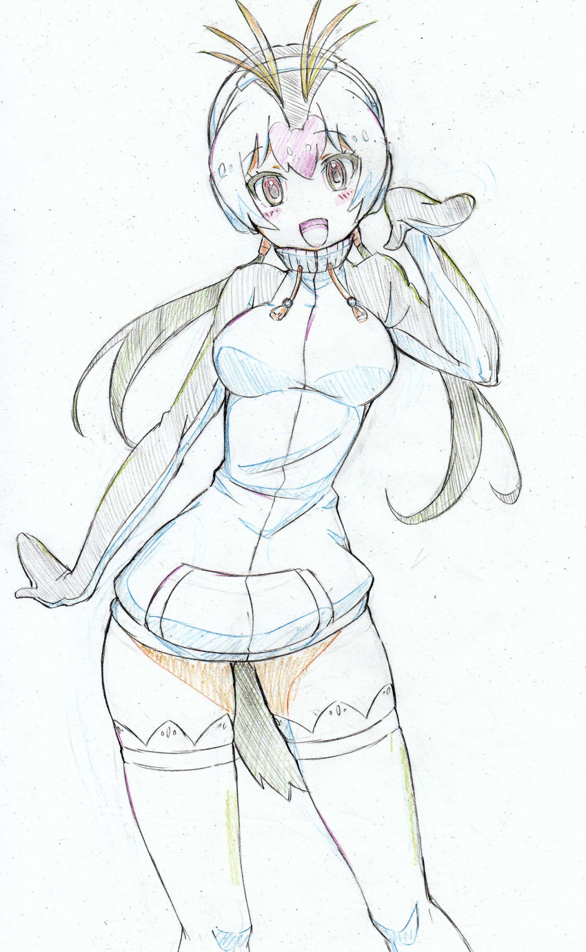 1girl :d absurdres bangs black_hair black_jacket colored_pencil_(medium) commentary_request cowboy_shot drawstring eyebrows_visible_through_hair gluteal_fold headphones highres jacket kemono_friends kitazinger light_blush long_hair long_sleeves looking_at_viewer low_twintails multicolored_hair open_mouth pink_hair pose raglan_sleeves red_eyes royal_penguin_(kemono_friends) smile solo standing tail thigh-highs thighs traditional_media twintails white_hair white_legwear