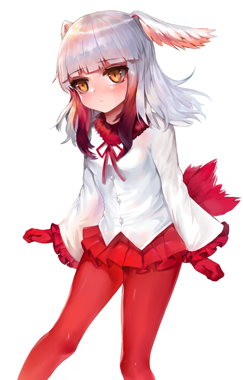1girl absurdres bangs bird_tail blunt_bangs blush breasts brown_eyes closed_mouth dokomon eyebrows_visible_through_hair feathered_wings frilled_sleeves frills fur-trimmed_jacket fur_trim gloves gradient_hair gradient_wings head_tilt head_wings highres jacket japanese_crested_ibis_(kemono_friends) kemono_friends long_sleeves multicolored multicolored_hair multicolored_wings pantyhose pleated_skirt red_gloves red_legwear red_skirt red_wings redhead sidelocks silver_hair simple_background skirt small_breasts solo white_background white_jacket white_wings wings