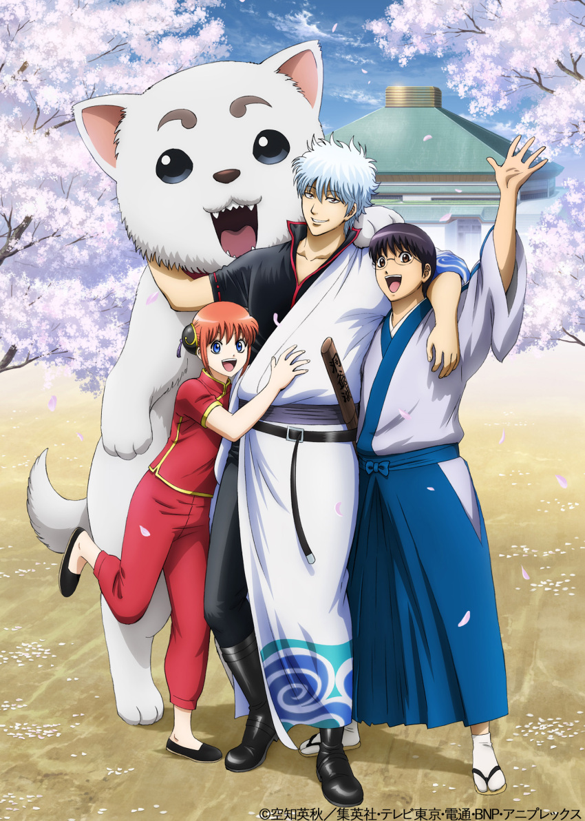 1girl 2boys :d black_footwear black_hair black_pants black_shirt blue_eyes blue_hakama boots day dog gintama grey_hakama grin hair_bun hakama highres japanese_clothes kagura_(gintama) kimono leg_up looking_at_viewer multiple_boys official_art open_mouth orange_hair outdoors pants petals red_pants red_shirt rimless_eyewear sadaharu sakata_gintoki shimura_shinpachi shiny shiny_hair shirt short_hair short_sleeves silver_hair smile standing standing_on_one_leg white_kimono white_legwear