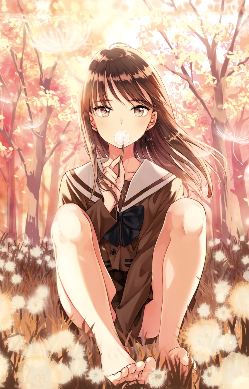 1girl absurdres bare_legs barefoot black_bow blush bow brown_eyes brown_hair brown_serafuku brown_shirt brown_skirt collarbone commentary_request covered_mouth day highres holding long_hair looking_at_viewer matsuzaki_miyuki on_ground original outdoors pleated_skirt sailor_collar school_uniform serafuku shirt sitting skirt solo tree white_sailor_collar wind