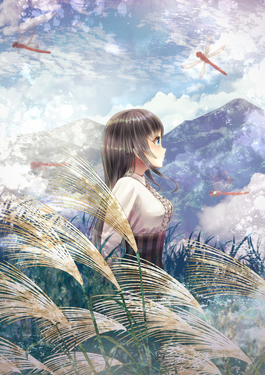 1girl absurdres arms_at_sides blue_eyes blue_sky breasts brown_hair bug clouds day dragonfly grass highres huge_filesize insect long_hair looking_to_the_side medium_breasts mountain nor_gate original outdoors profile sky standing
