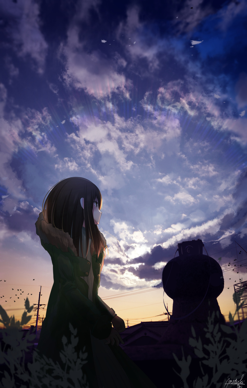 1girl amatsuki_rei animal artist_name backlighting bird black_eyes black_hair blue_sky building buttons clouds cloudy_sky commentary_request day dress flock from_side fur-trimmed_jacket fur_trim green_jacket highres house jacket long_hair long_sleeves no_mouth open_clothes open_jacket original outdoors plant power_lines profile scenery sidelocks signature sky sleeves_past_wrists solo standing tile_roof
