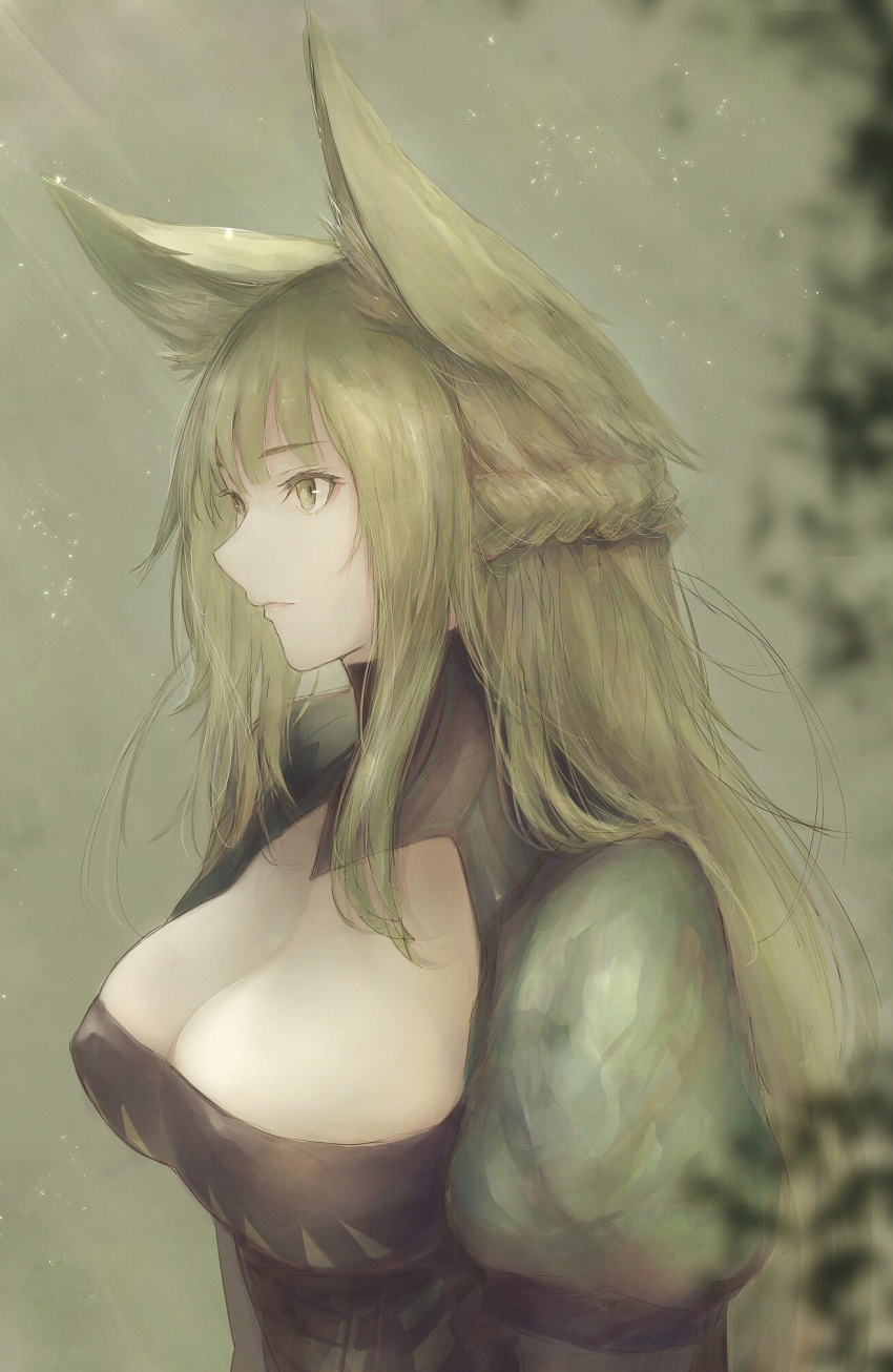 1girl animal_ear_fluff animal_ears atalanta_(fate) bangs black_dress braid breasts cat_ears cleavage closed_mouth commentary_request dress eyebrows_visible_through_hair fate/apocrypha fate_(series) green_eyes green_hair highres looking_away marumoru medium_breasts puffy_sleeves solo upper_body
