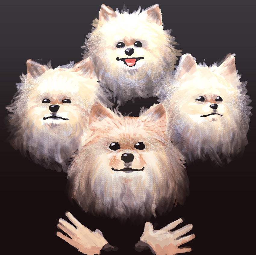 absurdres bohemian_rhapsody chanta_(ayatakaoisii) crossed_arms dog dog_focus highres looking_at_viewer no_humans parody pomeranian_(dog) queen_(band)