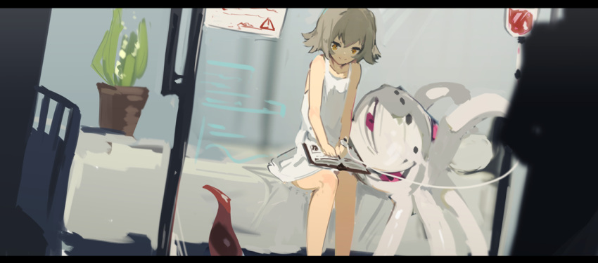 1girl bed book closed_mouth dress from_outside grey_hair heterochromia indoors lansane letterboxed on_bed open_book original plant potted_plant red_eyes short_hair simple_background sitting smile tentacle tentacled_girl_(lansane) white_dress wristband yellow_eyes