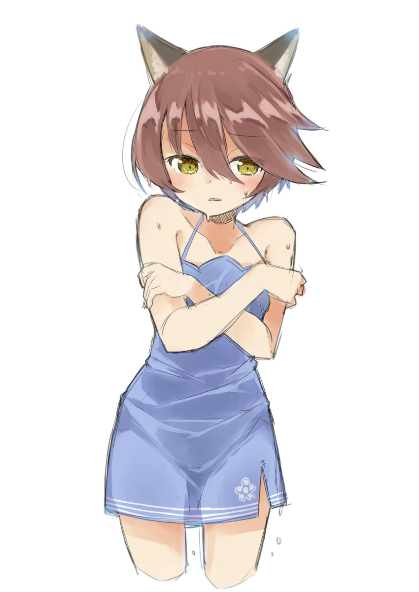 1girl amane_rosylily animal_ear_fluff animal_ears bangs bare_arms bare_shoulders blue_dress blush brown_eyes brown_hair collarbone commentary_request cropped_legs crossed_arms dress eyebrows_visible_through_hair fox_ears hair_between_eyes halterneck highres original parted_lips sekira_ame short_dress simple_background sketch solo wet wet_hair white_background