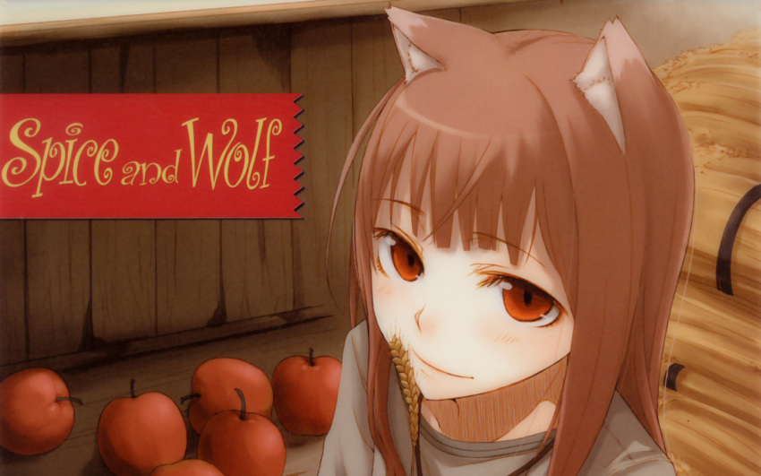 apple holo spice_and_wolf tagme wolfgirl