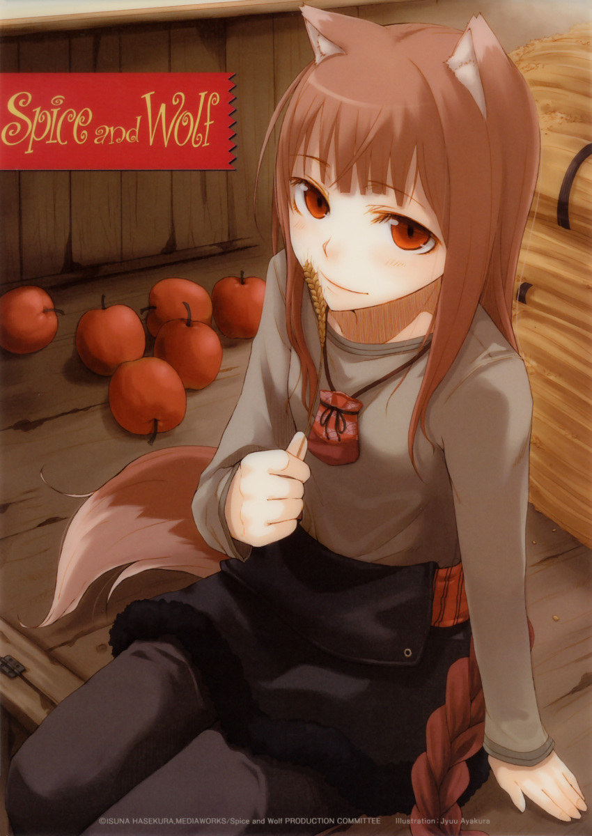 animal_ears ayakura_juu highres holo long_hair red_eyes sitting spice_and_wolf tail wolf_ears