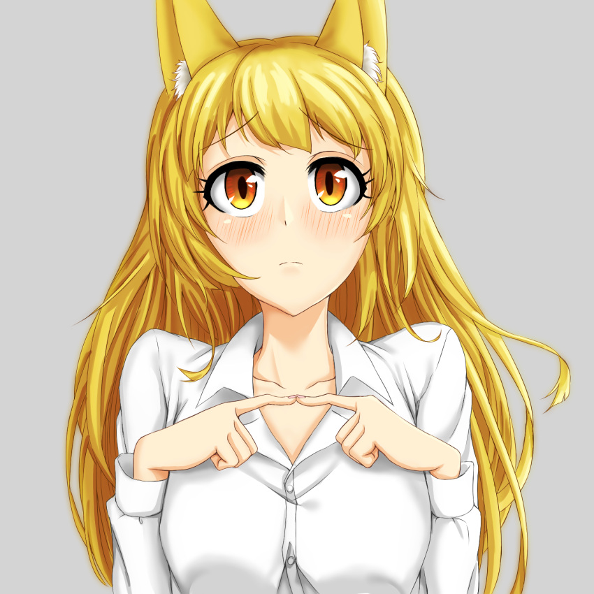 animal_ears blonde_hair blush embarrassed eyebrows_visible_through_hair fingers_together fox_ears fox_girl grey_background highres original shirt simple_background tagme user_apj5854 white_shirt