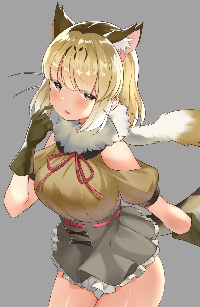 1girl animal_ear_fluff animal_ears bare_shoulders blonde_hair blush brown_eyes brown_hair cat_ears choir_(artist) commentary_request extra_ears eyebrows_visible_through_hair eyes_visible_through_hair frilled_skirt frills fur_collar gloves grey_background high-waist_skirt highres jungle_cat_(kemono_friends) kemono_friends looking_at_viewer multicolored_hair panties panty_peek parted_lips puffy_short_sleeves puffy_sleeves short_sleeves simple_background skirt solo two-tone_hair underwear white_panties