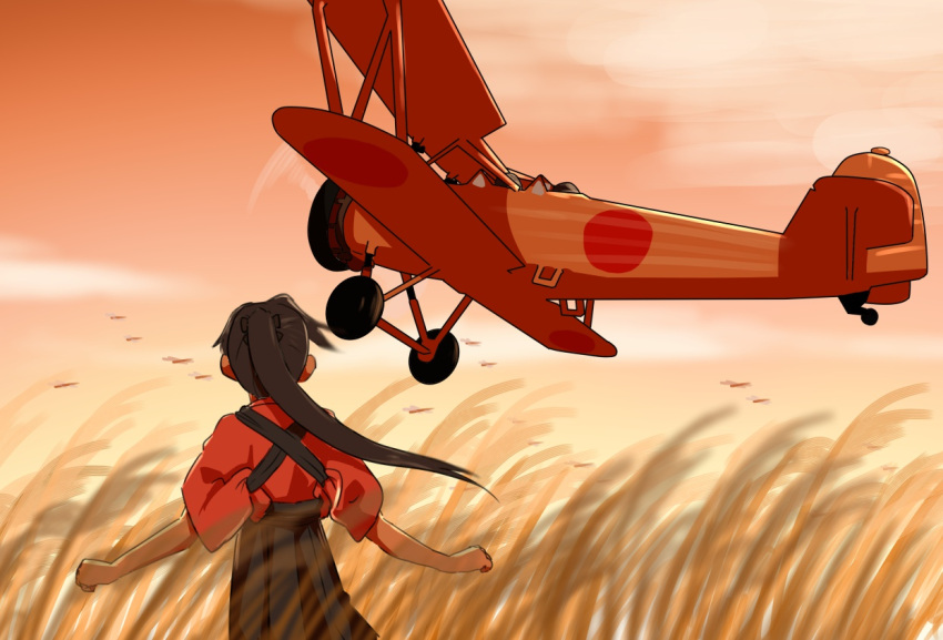 1girl aircraft airplane biplane black_hair from_behind grass hakama houshou_(kantai_collection) japanese_clothes k5y kantai_collection kimono long_hair namakura_neo outdoors ponytail solo_focus sunset