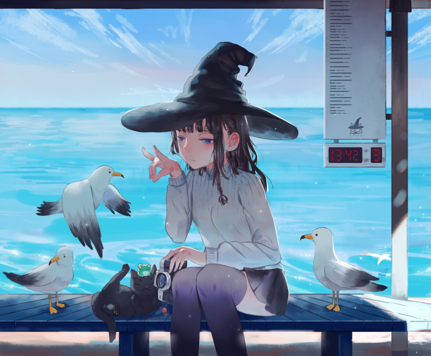 1girl bird black_cat black_hair black_legwear black_skirt blue_eyes braid camera cat clouds cowboy_shot day frog frog_on_head hat highres long_sleeves ocean original pleated_skirt seagull shrimp_cc sitting skirt sky solo thigh-highs witch witch_hat