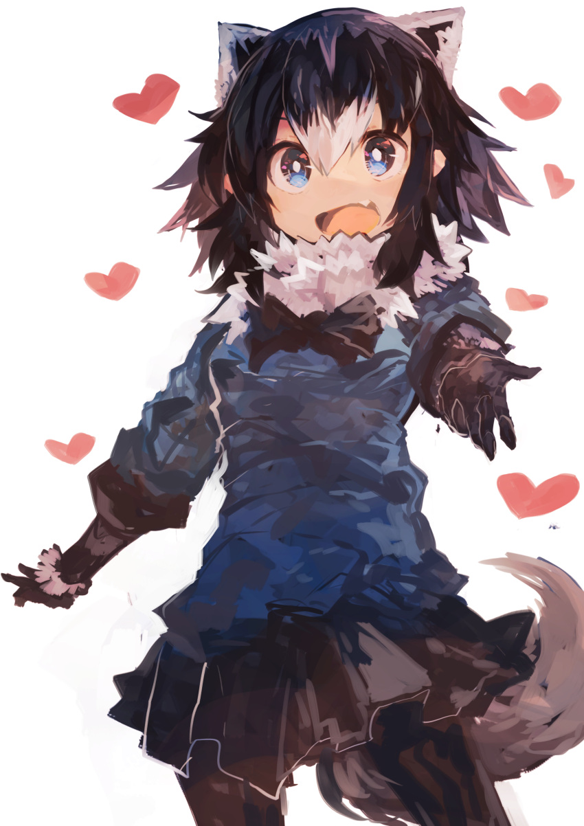 1girl :d absurdres animal_ears beckoning black_gloves black_hair black_legwear black_neckwear black_skirt blue_eyes blue_sweater bow bowtie commentary_request common_raccoon_(kemono_friends) extra_ears fang fur-trimmed_sleeves fur_collar fur_trim gloves grey_hair hair_between_eyes hand_up heart highres kaamin_(mariarose753) kemono_friends long_sleeves looking_at_viewer medium_hair multicolored_hair open_mouth outstretched_arms pantyhose raccoon_ears raccoon_tail reaching_out sidelocks simple_background skirt smile solo standing sweater tail upper_body white_background white_hair white_pupils