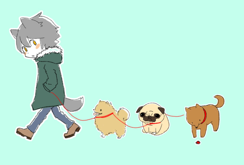 1boy animal animal_ears aqua_background coat denim dex_(vocaloid) dog fox_ears fox_tail fur_trim green_coat hands_in_pockets highres jam_kl jeans leash male_focus pants pomeranian_(dog) pug silver_hair simple_background solo tail vocaloid walking yellow_eyes