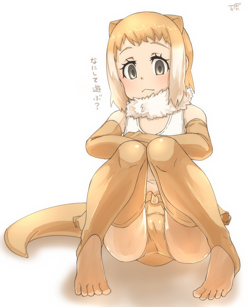1girl :&lt; animal_ears artist_logo bangs bare_shoulders brown_gloves brown_legwear closed_mouth commentary_request crossed_arms detached_collar elbow_gloves empty_eyes extra_ears full_body fur_collar gloves head_tilt highres japanese_otter_(kemono_friends) kemono_friends knees_together_feet_apart knees_up light_brown_hair light_smile looking_at_viewer medium_hair multicolored_hair one-piece_swimsuit otter_ears otter_tail sidelocks simple_background sitting solo swimsuit tail thigh-highs thin_(suzuneya) toeless_legwear toes translation_request two-tone_hair white_background white_hair