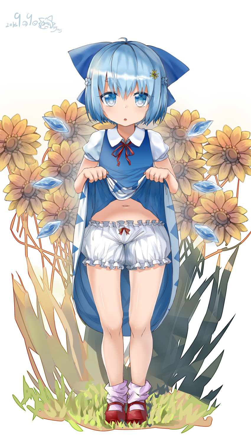 1girl :o absurdres ahoge alternate_hairstyle bare_legs blue_bow blue_dress blue_eyes blue_hair blue_wings bow braid cirno collared_shirt dress dress_lift eyebrows_visible_through_hair flower full_body grass hair_between_eyes hair_bow hair_flower hair_ornament highres hxj_(2324184595) ice ice_wings lifted_by_self looking_at_viewer mary_janes navel neck_ribbon puffy_short_sleeves puffy_sleeves red_footwear red_ribbon ribbon shirt shoes short_eyebrows short_hair short_sleeves simple_background socks solo standing sunflower thick_eyebrows touhou white_background white_bloomers white_legwear white_shirt wing_collar wings