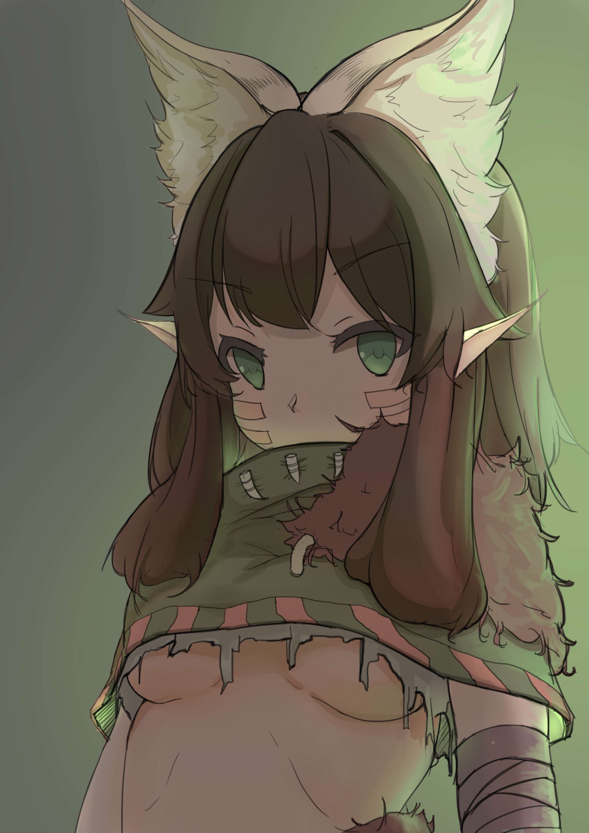 1girl absurdres animal_ear_fluff animal_ears bandage bandaged_arm bandages bangs breasts brown_hair commentary_request copyright_request eyebrows_visible_through_hair facial_mark fur_trim gradient gradient_background green_background green_capelet green_eyes highres long_hair looking_at_viewer pointy_ears small_breasts solo under_boob upper_body