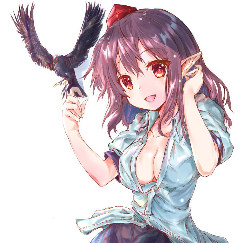 1girl bird bird_on_finger black_skirt breasts cleavage collarbone commentary_request eyebrows_visible_through_hair hair_between_eyes hand_in_hair hat head_tilt highres ikazuchi_akira looking_at_viewer medium_breasts open_clothes open_mouth open_shirt pointy_ears puffy_short_sleeves puffy_sleeves purple_hair red_eyes shameimaru_aya shiny shiny_hair shirt short_hair short_sleeves simple_background skirt solo tokin_hat touhou untucked_shirt upper_body white_background white_shirt