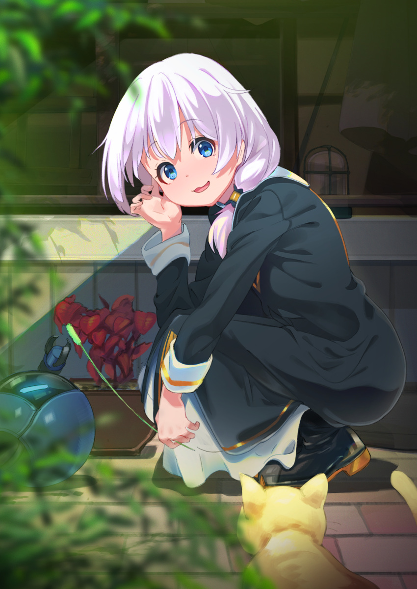 1girl :d animal black_dress black_footwear blue_eyes blurry_foreground boots brick_floor cat cat_teaser character_request day dress eyebrows_visible_through_hair from_side full_body hair_over_shoulder hand_up highres honkai_(series) honkai_impact_3 long_hair long_sleeves looking_to_the_side low_ponytail open_mouth outdoors plant potted_plant robot silver_hair smile solo squatting sunlight suppa_(hagakuresuppa) tareme