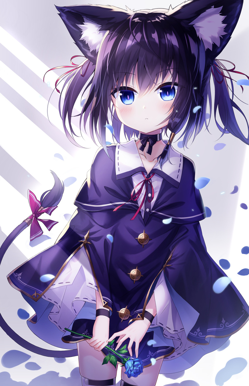 1girl animal_ear_fluff animal_ears black_choker black_hair blue_eyes blue_flower blue_rose blush buttons capelet cat_ears cat_tail choker cloak closed_mouth collarbone commentary_request expressionless eyebrows_visible_through_hair floating_hair flower hair_ribbon hair_tubes highres kuroneko-chan_(satou) original petals red_ribbon ribbon rose satou_(3366_s) short_hair simple_background slit_pupils tail tail_raised tail_ribbon tareme thigh-highs white_background wing_collar