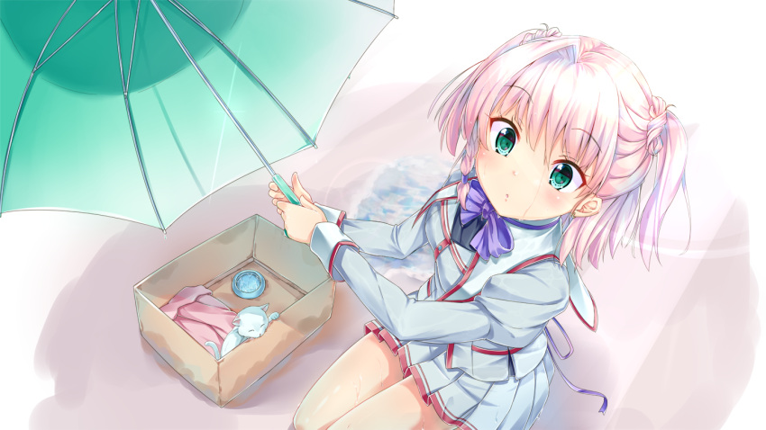 1girl akazateri aqua_eyes aqua_umbrella bow box cat from_above kneeling long_sleeves looking_at_viewer looking_up medium_hair original pink_hair pink_skirt pleated_skirt purple_bow purple_neckwear rain short_twintails skirt solo twintails two_side_up umbrella uniform white_background white_cat